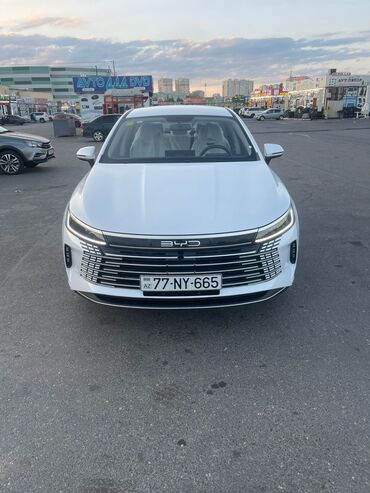 фольксваген поло 1: BYD : 1.5 л | 2024 г. Седан