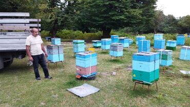 Bal: 100% qarantiya verilir təbii olduğuna! . 100% Təbii Bal zəmanət -da lalafo.az — 14 Bal: 100% qarantiya verilir təbii olduğuna! . 100% Təbii Bal zəmanət — 14