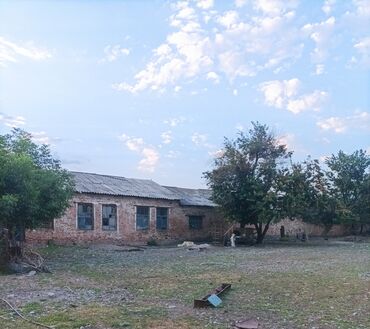 Продажа участков: 100 соток, Для сельского хозяйства, Красная книга, Тех паспорт, Договор купли-продажи — 9