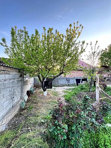 Продажа коттеджей и домов: ДОМ | КАЛЫС ОРДО | 6 СОТОК | Район - Калыс Ордо Кол. комнат - 5 Кол — 18