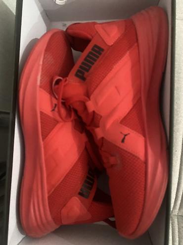Мужские кроссовки, 39, Puma, Новый, цвет - Красный at lalafo.kg Мужские кроссовки, 39, Puma, Новый, цвет - Красный