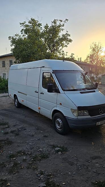 Mercedes-Benz: Mercedes-Benz Спринтер: 1995 г., 2.9 л, Фургон — 14