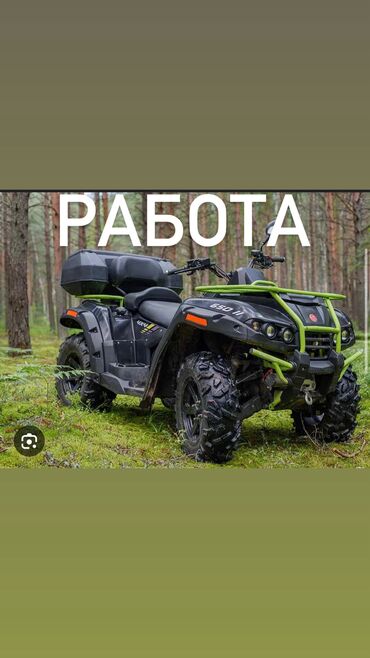 рабочая виза в дубай для кыргызстана: Требуется администратор-механик для квадро-туров Нужен