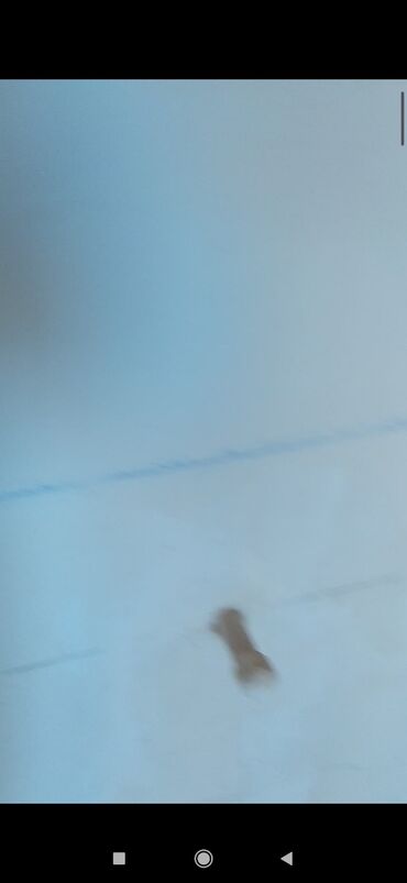 Həyət evləri və villaların satışı: 10 otaq, 360 kv. m, Kredit var, Orta təmir — 12