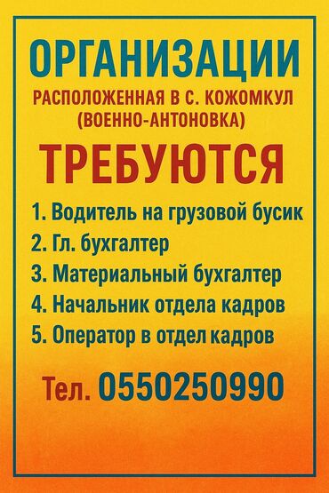 помощник для парикмахера: Работа