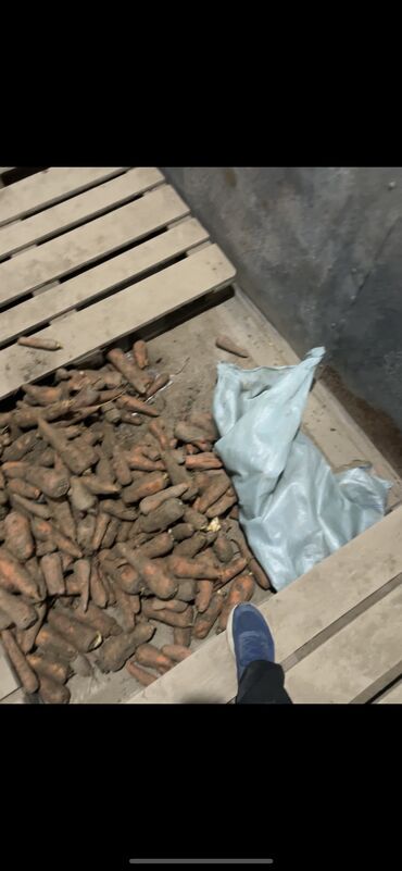 установка газа дома бишкек: Сабиз Дүңүнөн, Өзү алып кетүү, Акылуу жеткирүү