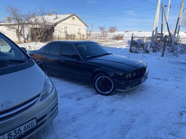 BMW: BMW 525: 1994 г., 2.5 л, Механика, Бензин, Седан