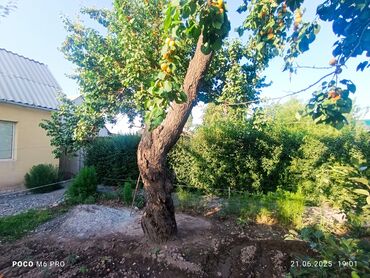 Продажа домов: Дом, 99 м², 5 комнат, Собственник, Косметический ремонт at lalafo.kg — 8 Продажа домов: Дом, 99 м², 5 комнат, Собственник, Косметический ремонт — 8