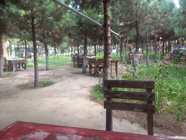 kafe işi axtarıram: Ofisiant tələb olunur, Kafe, Gündəlik ödəniş, İstənilən yaş, Təcrübəsiz
