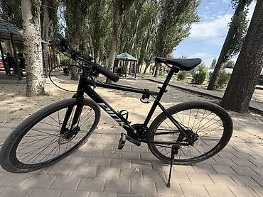 space runner: Городской/фитнес-велосипед Pinarello (плоский руль) - Легкая рама из — 1