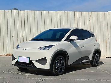 byd e5: BYD Seagull: 2026 г., Электромобиль — 1