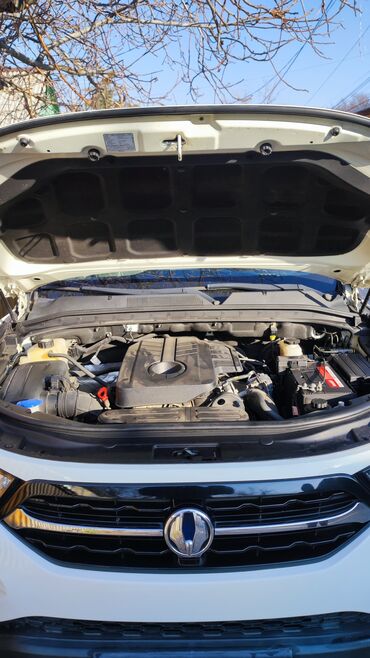 Ssangyong: Ssangyong Rexton: 2018 г., 2.2 л, Автомат, Дизель, Внедорожник — 9