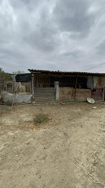 sumqayit kiraye evler 2018: Ev satılır elaqe-099-801-08-61 — 9