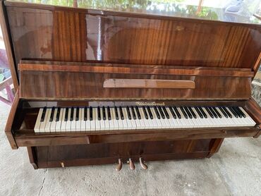 Akkordeonlar: Piano, Akustik, İşlənmiş, Ödənişli çatdırılma