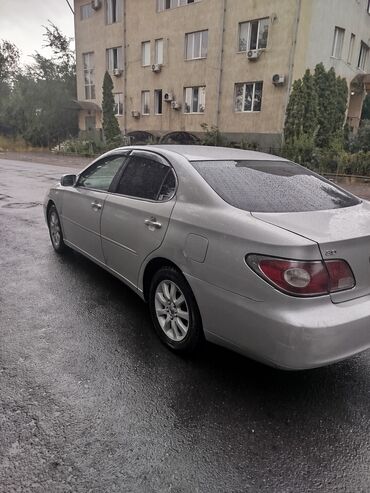 полик на камри: Toyota Windom: 2003 г., 3 л, Автоматические, Бензин, Седан