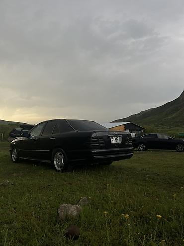 стекло мерседес 210: Mercedes-Benz E-Class: 1996 г., 3.2 л, Автомат, Бензин, Седан — 3