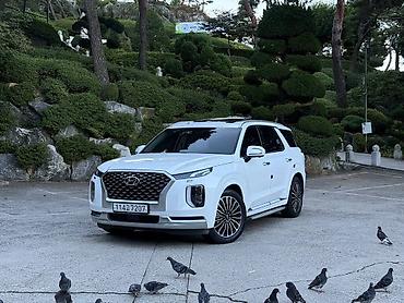 go park: Hyundai Palisade: 2021 г., Кроссовер — 2