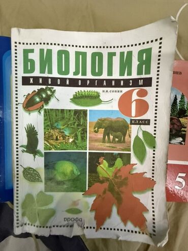 лыжи купить бишкек: Учебник по биологии "Живой организм" для 6 класса