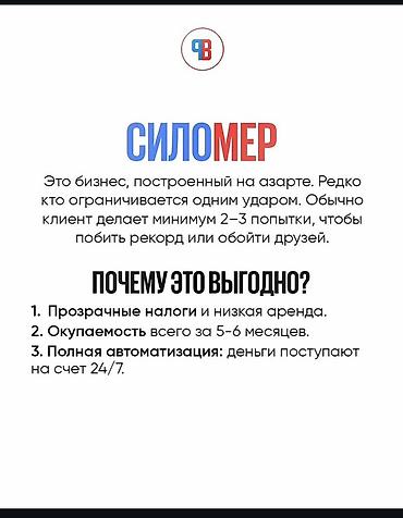 Силомеры: Автомат “Boxer” (груша для удара) — полностью автоматизированный — 8