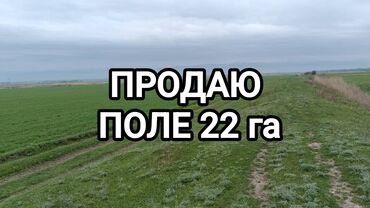 дом на иссык куле купить: 2200 соток, Для сельского хозяйства, Красная книга