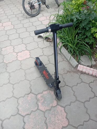 Самокаты: Самокат, Городской, Новый, Самовывоз