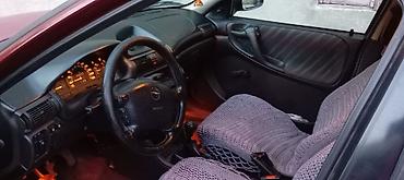 Opel: Opel Astra: 1.6 л | 1997 г. 245000 км Хэтчбэк — 5