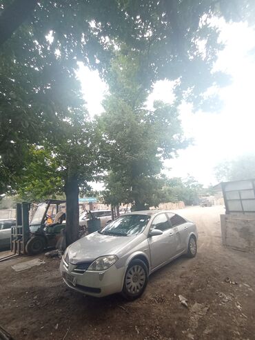 коробка ниссан примера п10: Nissan Primera: 2002 г., 1.8 л, Механика, Бензин, Седан