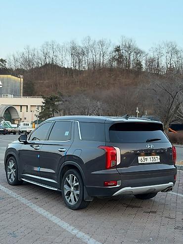 Hyundai: Hyundai Palisade: 2019 г., 2.2 л, Автомат, Бензин, Кроссовер — 14