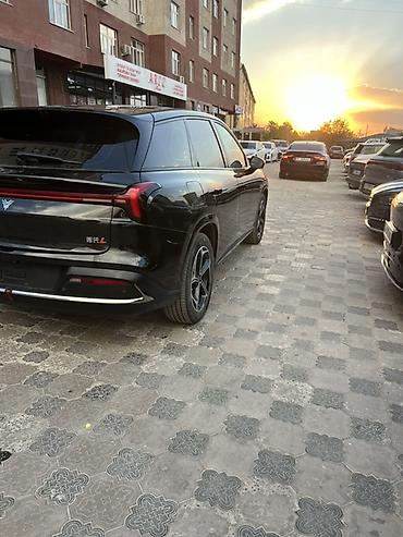 Hozon Neta L: 2024 г., 1.5 л, Автомат, Гибрид, Кроссовер — 7