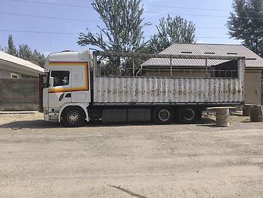 daf 480: Тягач, Scania, 2003 г., Холодильник, рефрижератор — 2