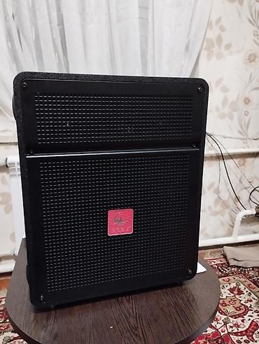 Динамики и колонки: Продаю новую малогабаритную, но тяжелую колонку. Мощность 300 ватт — 2