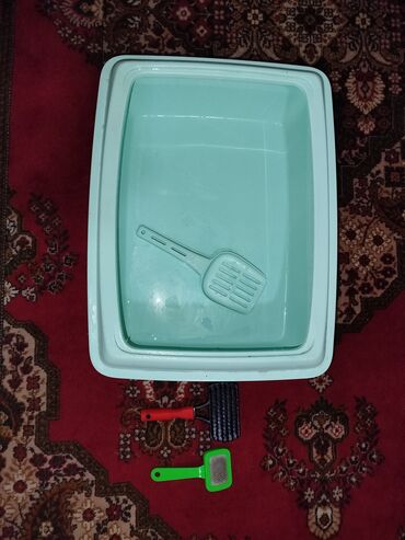 pişik qabı: Salam böyük Latok daraqlar satılır Pişik tualet qabisi 1 gun islenib