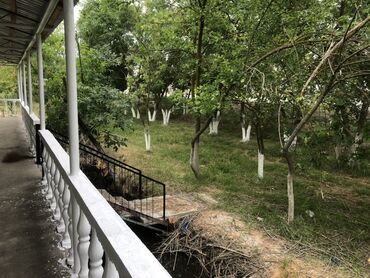 Binalar: Ağ rəngdə, geniş sahəyə malik, bir mərtəbəli bina. Bina müxtəlif -da lalafo.az — 7 Binalar: Ağ rəngdə, geniş sahəyə malik, bir mərtəbəli bina. Bina müxtəlif — 7