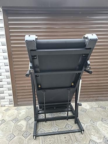 qaçiş: Beqavoy PROTEUS-8860 professional 150kq ceki goturur. Cox iri — 6