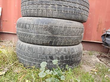175 65 15: Шины 195 / 65 / R 15, Зима, Б/у, Комплект, Легковые, Dunlop — 3