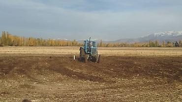 Тракторы МТЗ (Беларус): Модель: 80, Б/у, Трактор с другими агрегатами — 11