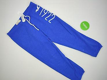 dior bluzy: Hollister, Spodnie dresowe damskie, rozmiar L — 2