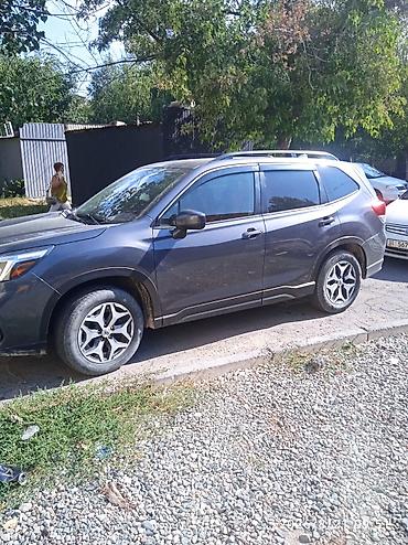forest: Subaru Forester: 2020 г., 2.5 л, Автомат, Бензин, Кроссовер — 1