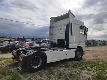 Тягачи: Тягач, DAF, 2014 г., Тентованный — 11