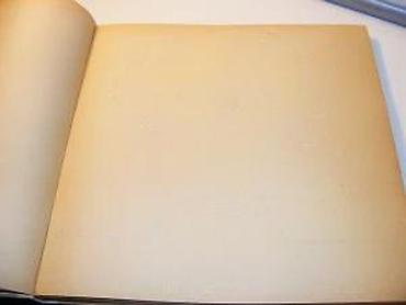 Knjige: Grafički antidizajn Boleta MiloradovićaLazar TrifunovićIzdavač — 14