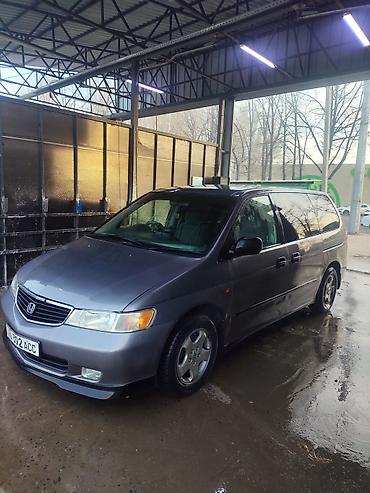 step wgn: Honda Odyssey: 1999 г., 3.5 л, Автомат, Бензин, Минивэн — 3