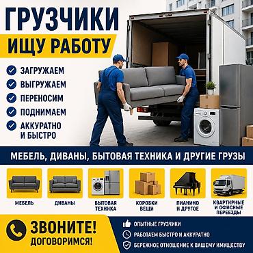 нужен кафельщик: Грузчик. С опытом — 1