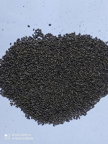 Люцерна: Продаю семена люцерны,семена клевера,высший сорт,гарантия — 3