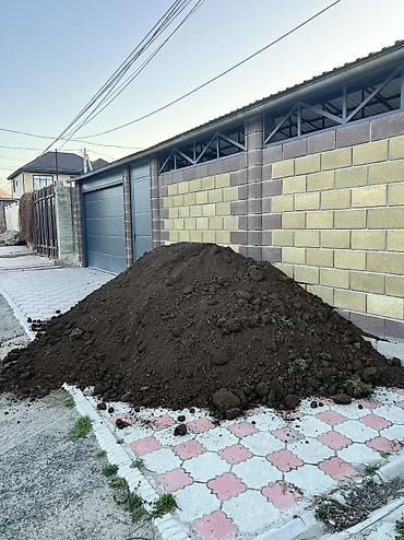 Грунт, чернозем: Чернозем чернозем чернозем чернозем чернозем чернозем чернозем — 9