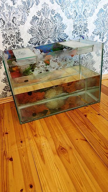 akvarium matoru: Dördbucaq akvarium, Boş, 80 l — 1