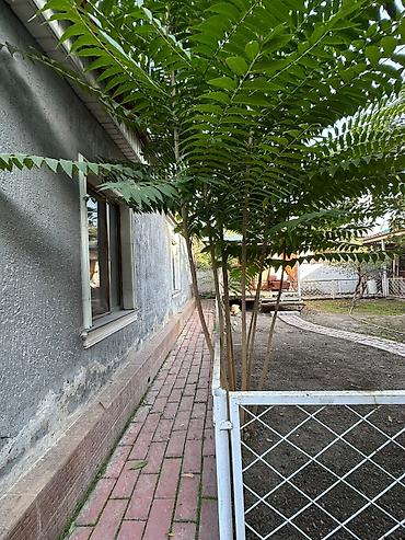 логвинен: 4 комнаты, 105 м², 4 соток, Бишкек, Вефа ТЦ Агентство недвижимости — 3