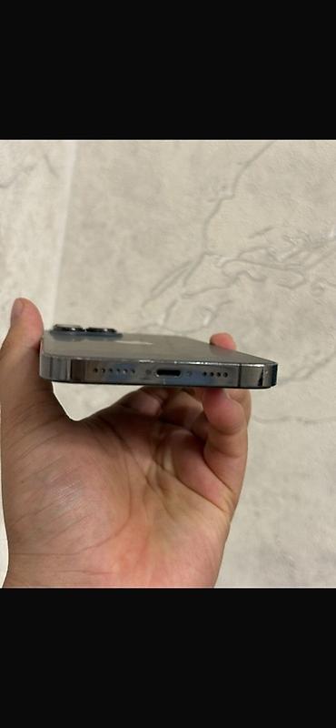 iphone mini: IPhone 13 Pro Max, Б/у, 256 ГБ, Графит, 92 % — 2