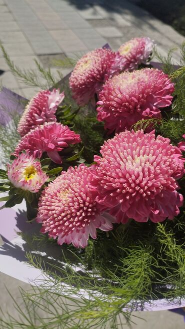 сниму дом недорого: 2 комнаты, Собственник, С подселением, С мебелью полностью