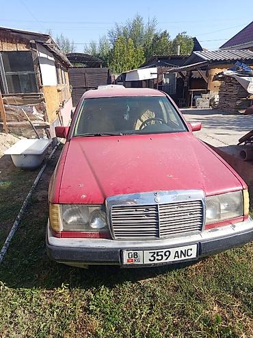 124 mers: Mercedes-Benz W124: 1986 г., Седан — 3