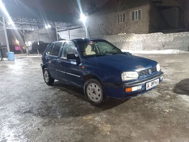 Volkswagen: Volkswagen Golf: 1993 г., 1.6 л, Механика, Бензин, Хэтчбэк